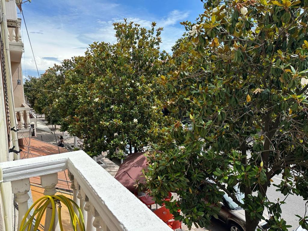 City Center Shkodra B&B المظهر الخارجي الصورة